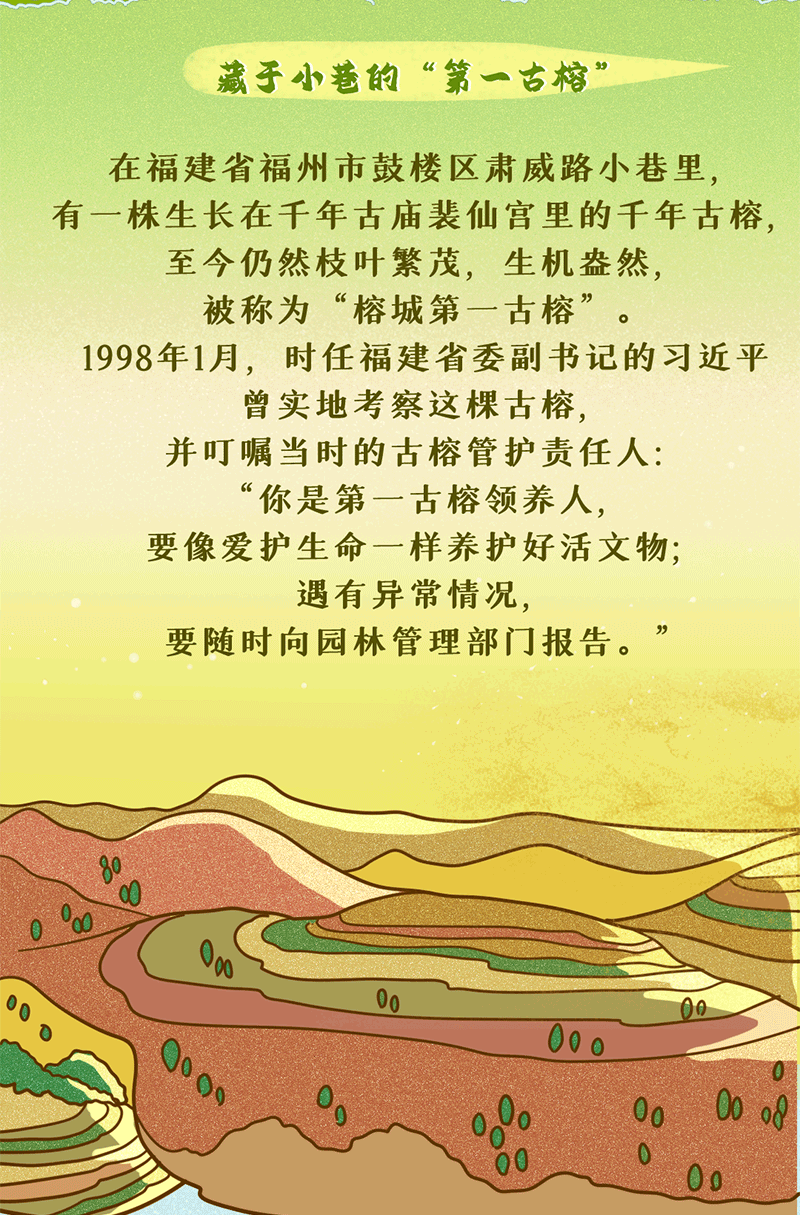 習近平與“樹”的故事