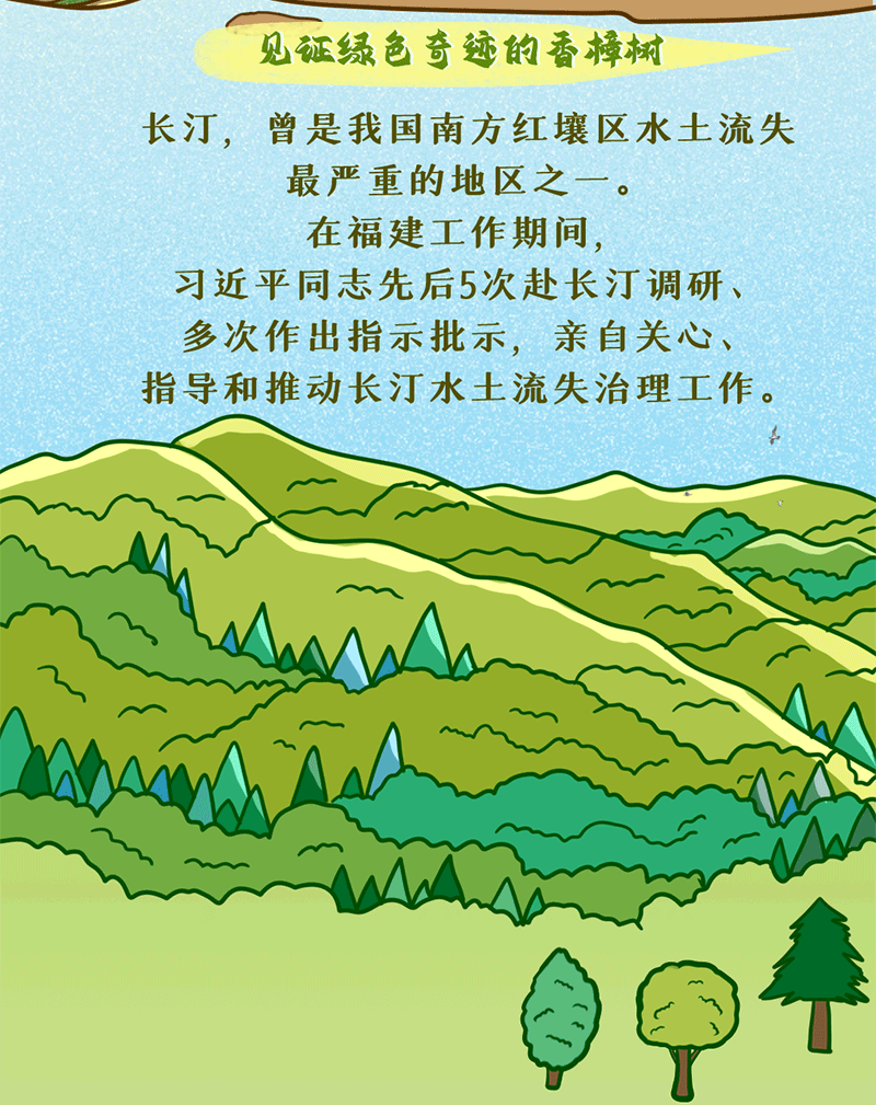 習近平與“樹”的故事