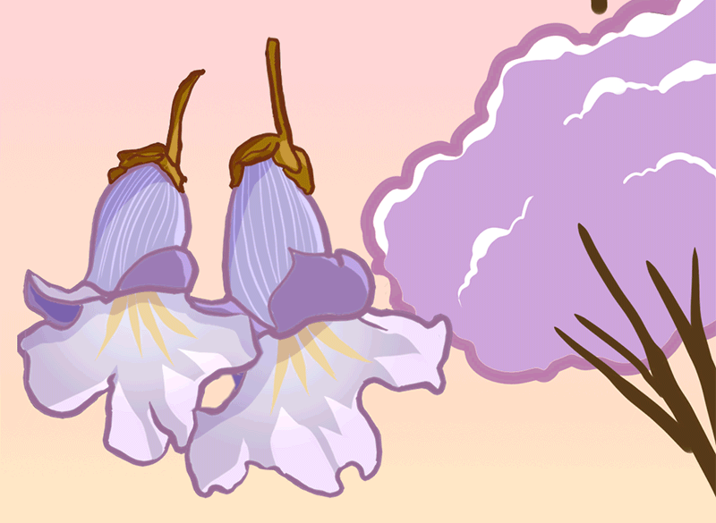 習近平與“樹”的故事