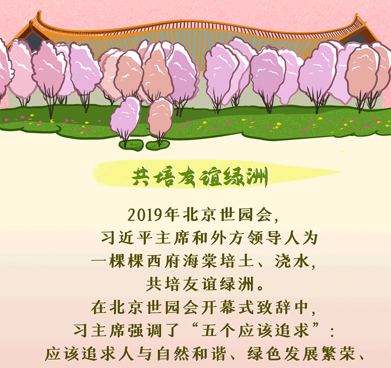 習近平與“樹”的故事