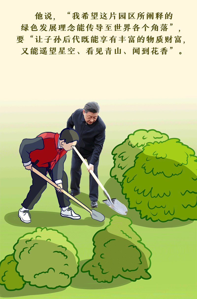 習近平與“樹”的故事