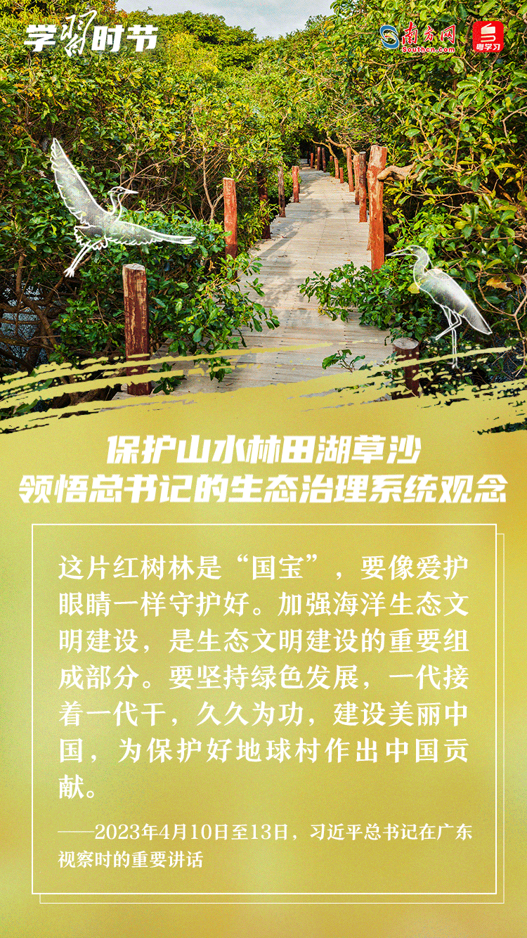 學習時節|保護山水林田湖草沙 領悟總書記的生態治理系統觀念 學習時節|保護山水林田湖草沙 領悟總書記的生態治理系統觀念