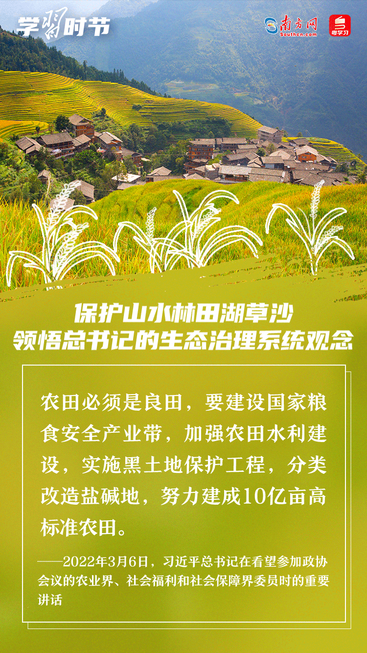 學習時節|保護山水林田湖草沙 領悟總書記的生態治理系統觀念 學習時節|保護山水林田湖草沙 領悟總書記的生態治理系統觀念