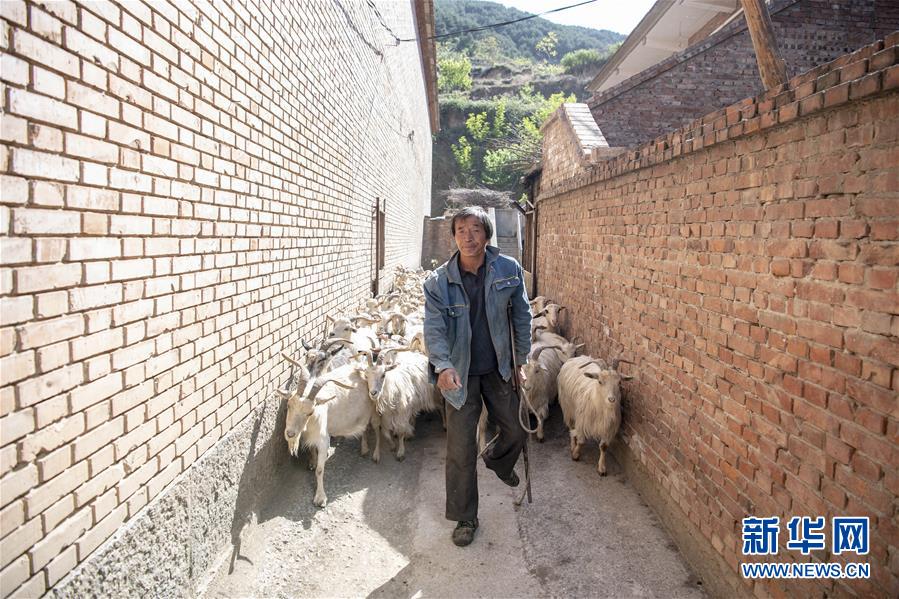 （社會）（7）“羊倌”脫貧記