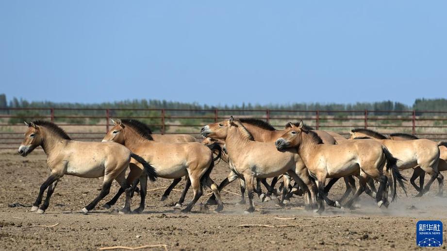 萬類霜天競自由——寫在《生物多樣性公約》締約方大會第十五次會議開幕之際