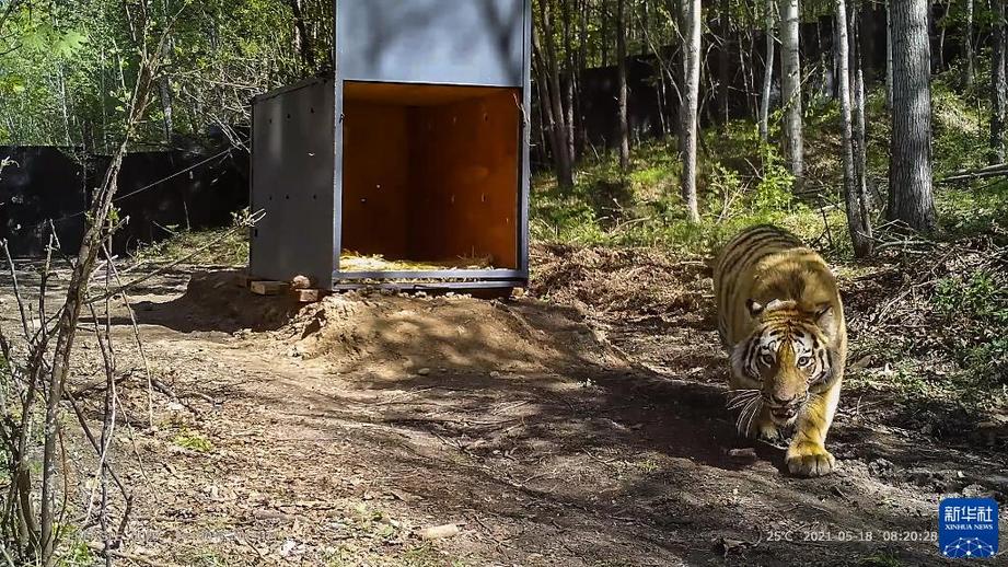 萬類霜天競自由——寫在《生物多樣性公約》締約方大會第十五次會議開幕之際