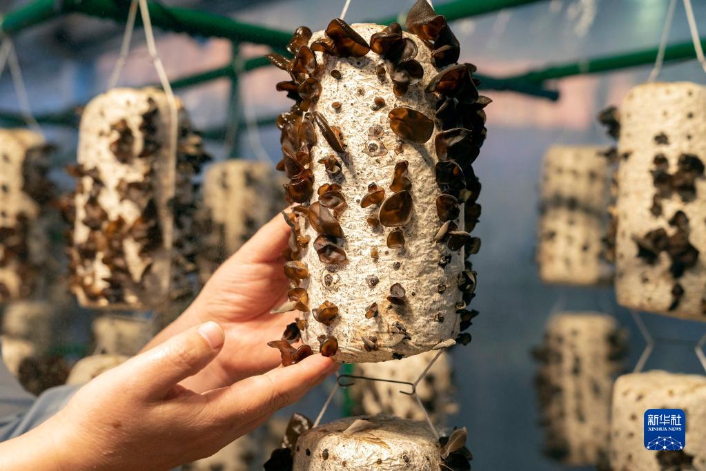 輝煌成就,助力創(chuàng)新型國家建設(shè)新征程