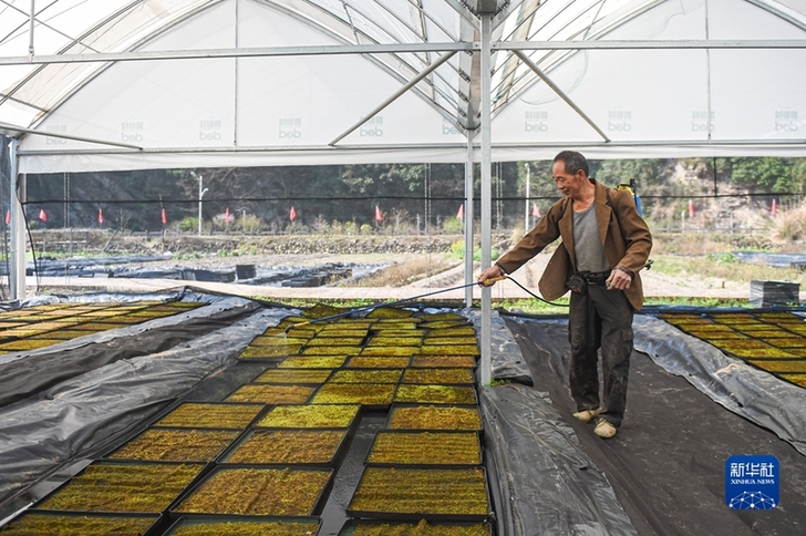 “人民對美好生活的向往,就是我們的奮斗目標”——“十個明確”彰顯馬克思主義中國化新飛躍述評之三