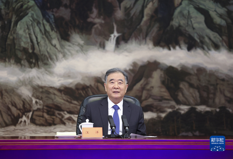 汪洋會見新黨主席吳成典一行