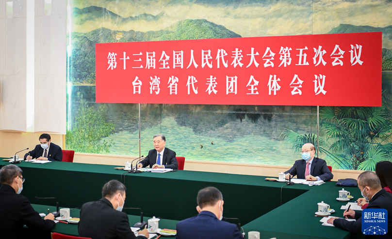 汪洋參加臺灣代表團審議