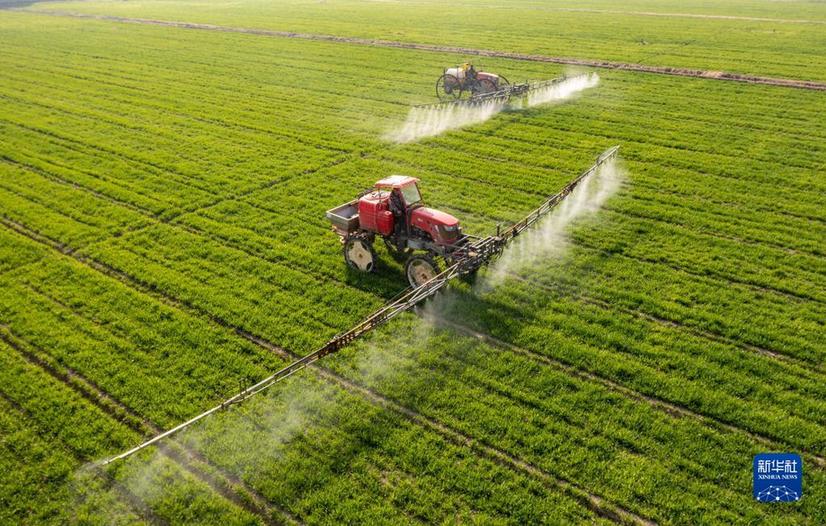 又乘春風浩蕩時——習近平總書記同全國兩會代表委員共商國是十年紀實