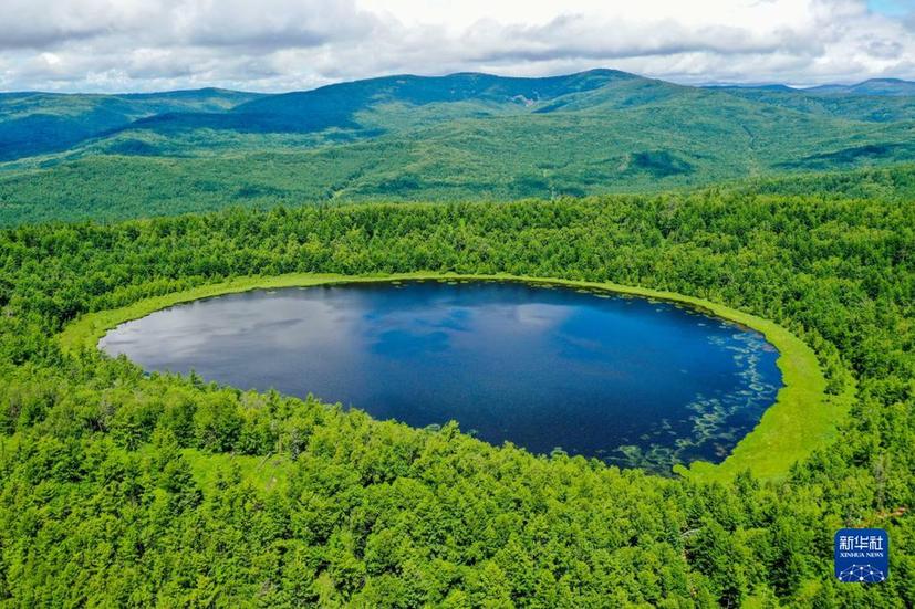 為子孫后代留下美麗家園——習近平總書記關心推動國土綠化紀實