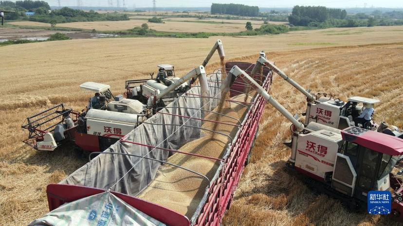 牢牢把住糧食安全主動權——以習近平同志為核心的黨中央帶領人民干好這件頭等大事