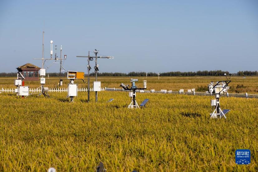 牢牢把住糧食安全主動權——以習近平同志為核心的黨中央帶領人民干好這件頭等大事