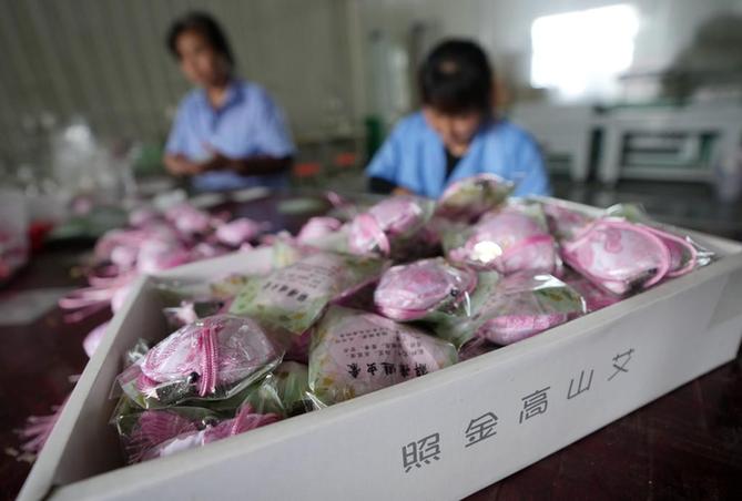 全面支持革命老區振興發展——國家發展改革委扎實推動落實代表委員建議提案