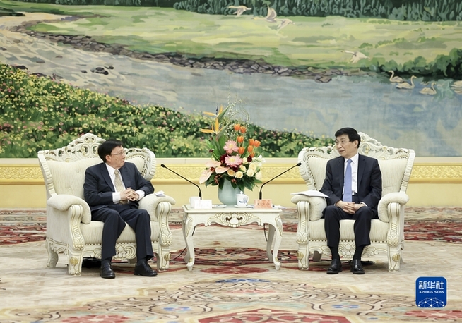 王滬寧會見兩岸企業家峰會臺灣方面理事長劉兆玄一行