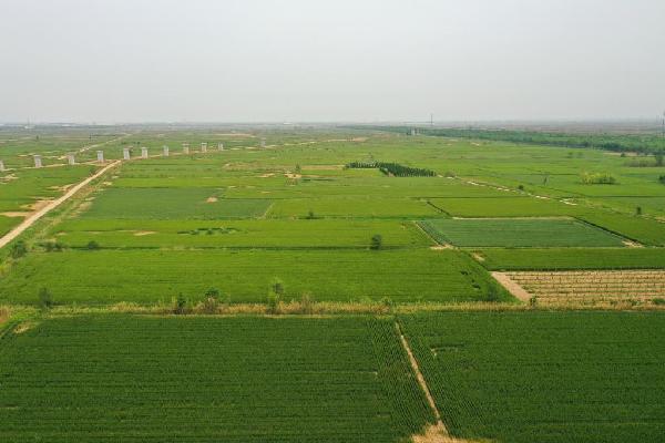 奮力譜寫中國式現代化建設河北篇章——習近平總書記在河北雄安新區、滄州、石家莊考察回訪 奮力譜寫中國式現代化建設河北篇章——習近平總書記在河北雄安新區、滄州、石家莊考察回訪