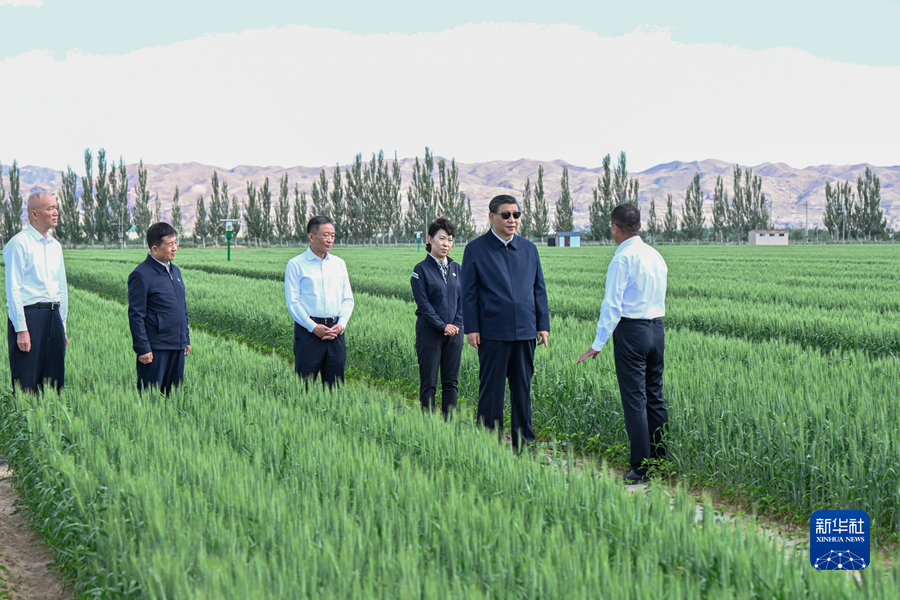 習近平:勇擔使命不畏艱辛久久為功 努力創造新時代中國防沙治沙新奇跡