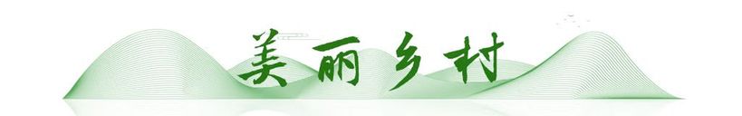 衛星視角|藍天碧水凈土,生態畫卷這樣繪就!