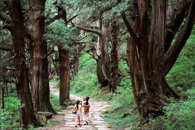 蜀道三千里,穿越古今的一部史詩