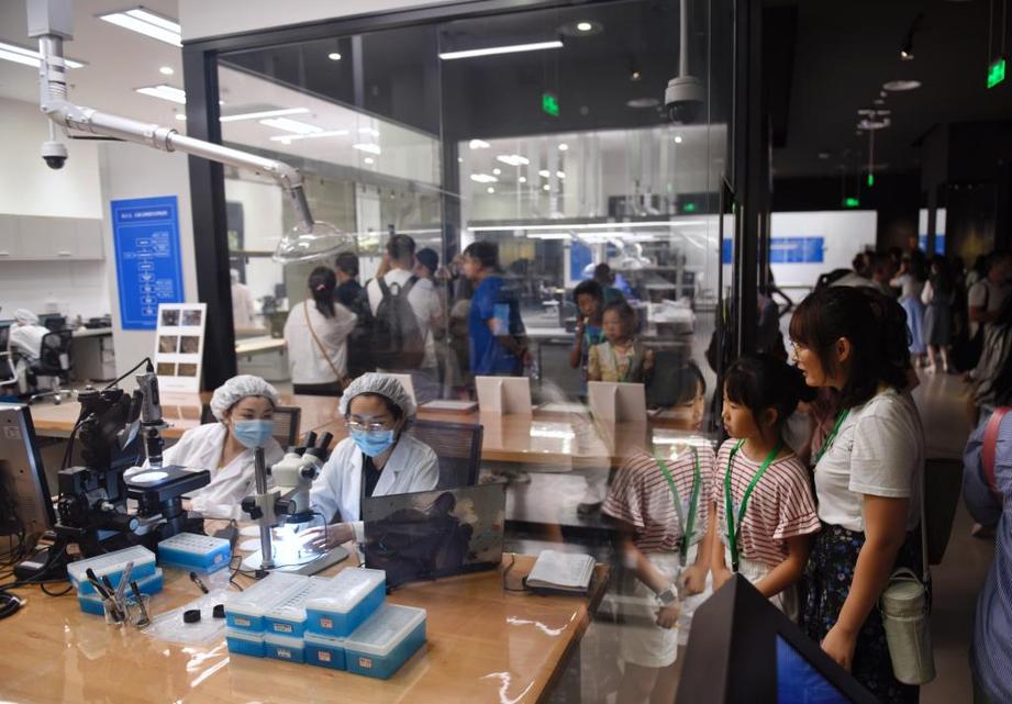 鑒往知來|三星堆:一醒名動天下,再續文明華章