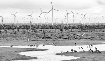 民營經(jīng)濟(jì)如何走好高質(zhì)量發(fā)展之路