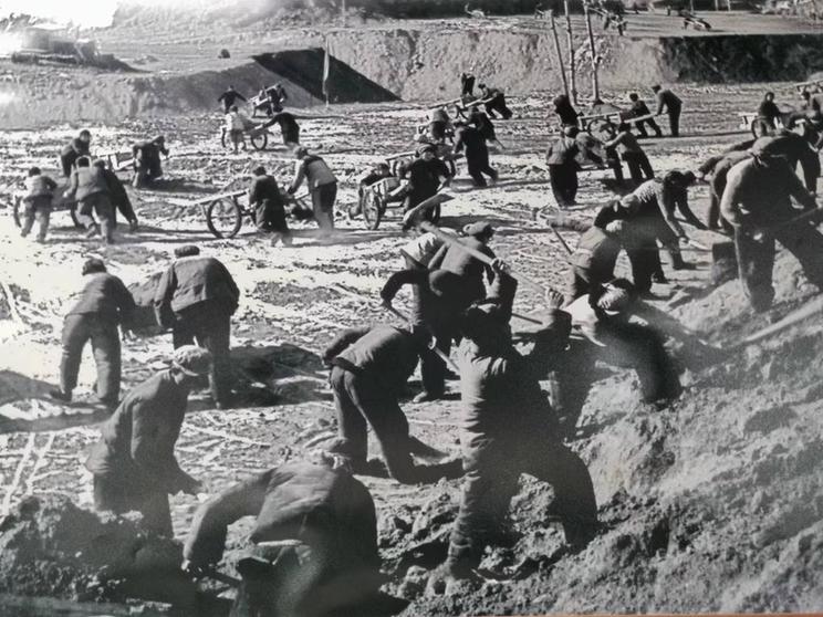 新時代新征程新偉業(yè)·習(xí)近平總書記關(guān)切事丨黃河之水天上來,奔流到此“青”幾許——黃河“幾字彎”生態(tài)治理一線故事