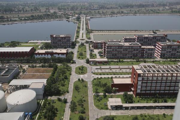 國(guó)際社會(huì)高度評(píng)價(jià)共建“一帶一路”重大實(shí)踐