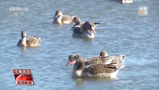 讓綠色成為共建“一帶一路”的底色 中國這樣做→ 讓綠色成為共建“一帶一路”的底色 中國這樣做→