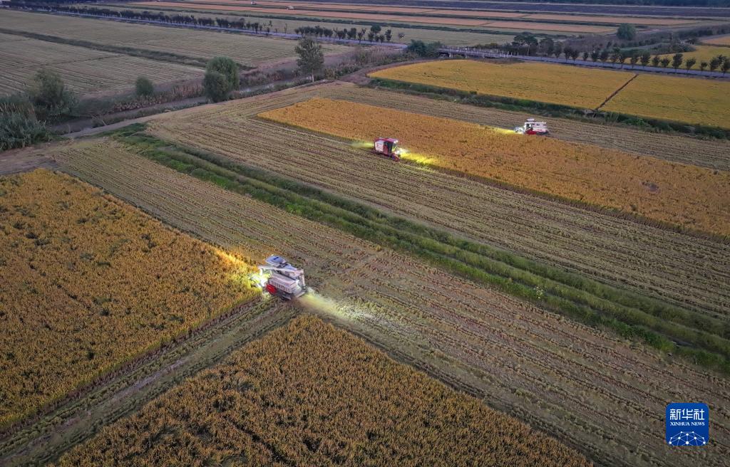 秋糧收獲進入尾聲 全年糧食產(chǎn)量有望再創(chuàng)新高
