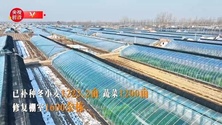 習近平天津行丨水退一畝 耕進一畝——走進辛口鎮第六埠村 習近平天津行丨水退一畝 耕進一畝——走進辛口鎮第六埠村