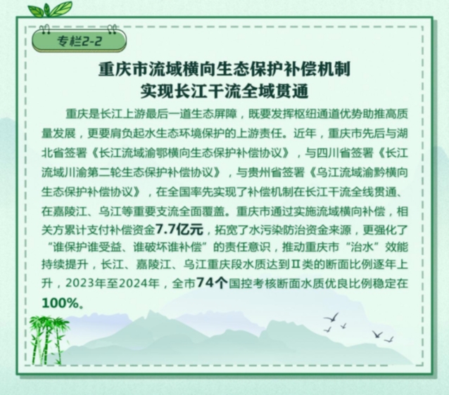 報告全文