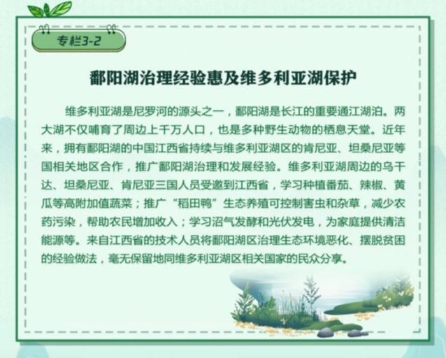 報告全文