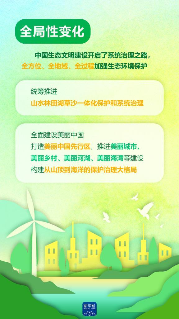 以“數(shù)”看“綠”!“兩山”答卷二十年