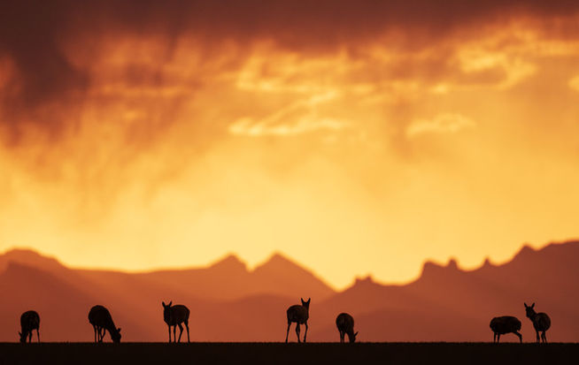 抓好“四件大事” 譜寫高原新篇