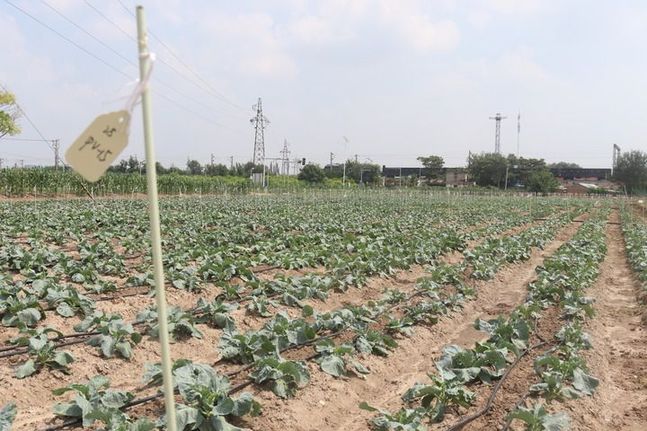 細節里的“和合與共”