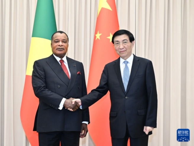 王滬寧會見剛果(布)總統薩蘇