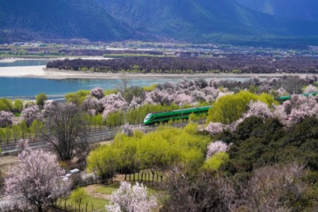確保基本實現社會主義現代化取得決定性進展——寫在黨的二十屆四中全會召開之際