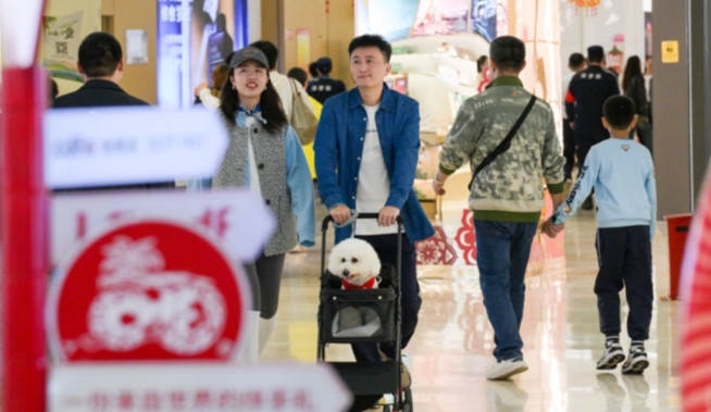 確保基本實現社會主義現代化取得決定性進展——寫在黨的二十屆四中全會召開之際