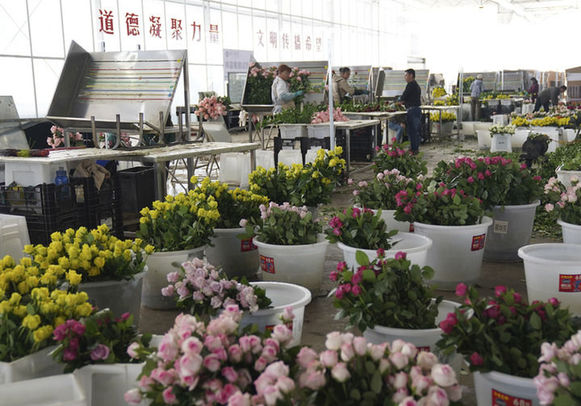 高質量發展取得新的歷史性成就——從“十四五”看中國答卷