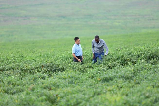特稿丨風勁帆滿啟新程——國際社會矚目中國繪制發展奮進新藍圖