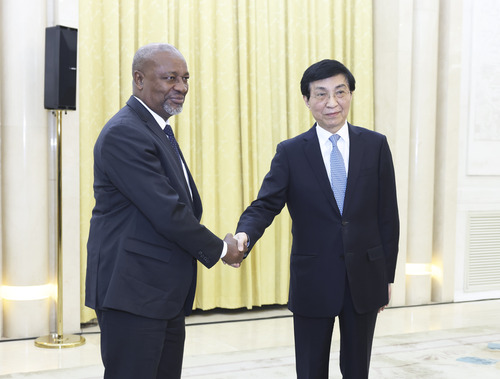 王滬寧會見盧旺達(dá)愛國陣線干部考察團(tuán)