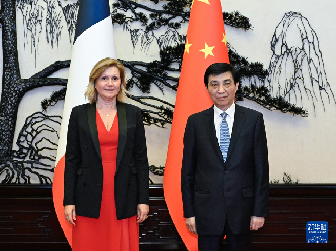 王滬寧會見法國國民議會議長布朗-皮韋