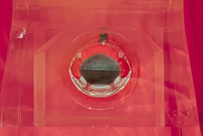 以習近平同志為核心的黨中央關心引領探月工程紀實