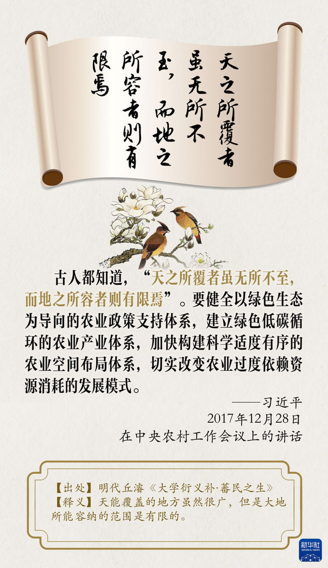 創意海報|總書記引經據典論生態文明