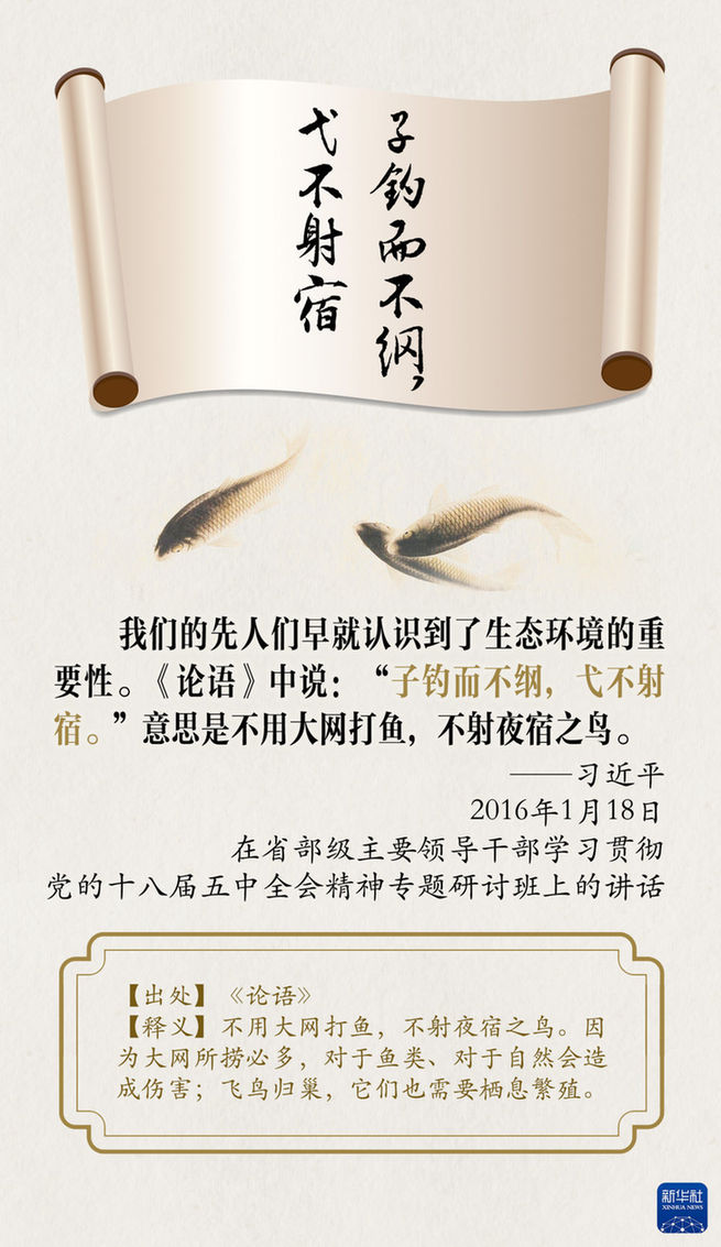 創意海報|總書記引經據典論生態文明