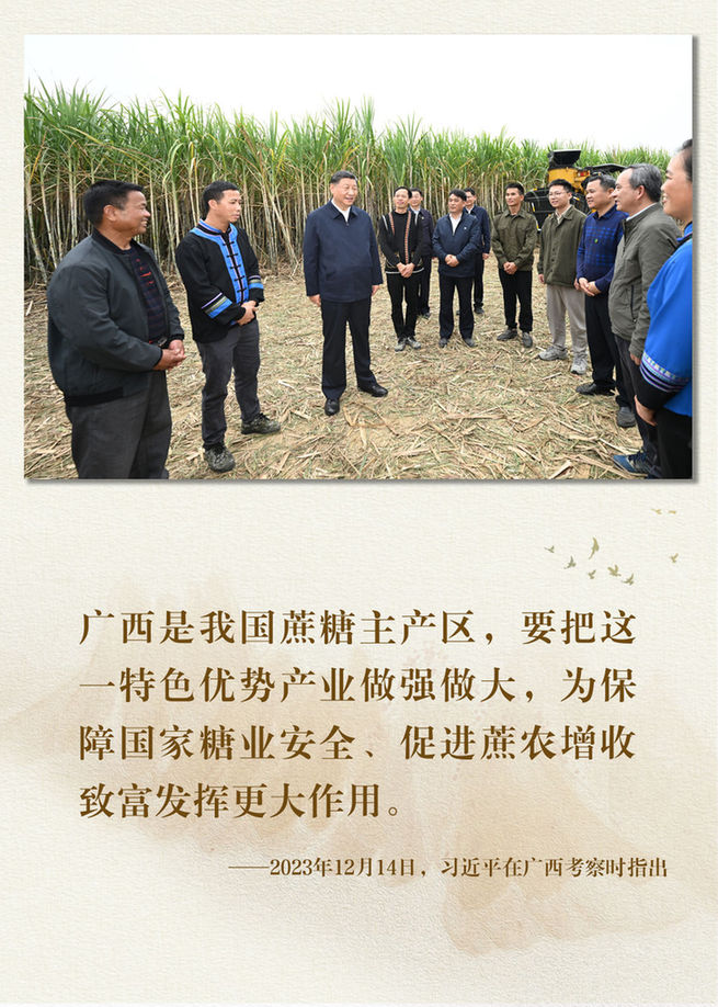 鏡觀·領(lǐng)航丨總書記足跡里的關(guān)切事:特色產(chǎn)業(yè)富鄉(xiāng)村