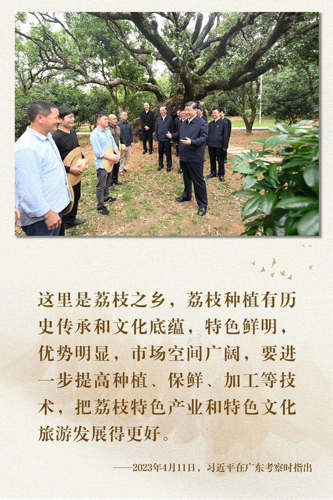 鏡觀·領(lǐng)航丨總書記足跡里的關(guān)切事:特色產(chǎn)業(yè)富鄉(xiāng)村