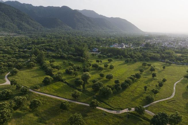 筑牢祖國生態安全屏障——新時代生態文明建設的西部實踐