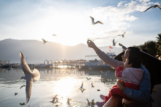 筑牢祖國生態安全屏障——新時代生態文明建設的西部實踐